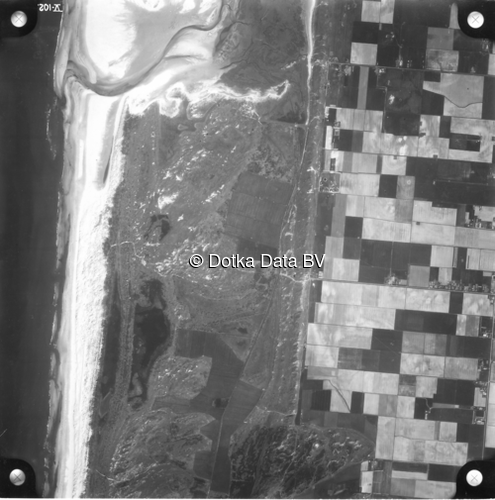 Luchtfoto De Cocksdorp (1958) uit de collectie Kadaster Luchtfoto's en Kaarten