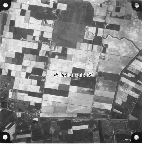 Luchtfoto De Cocksdorp (1958) uit de collectie Kadaster Luchtfoto's en Kaarten