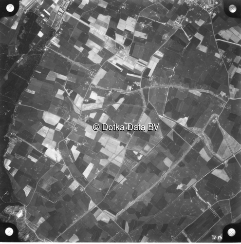 Luchtfoto Den Burg (1958) uit de collectie Kadaster Luchtfoto's en Kaarten