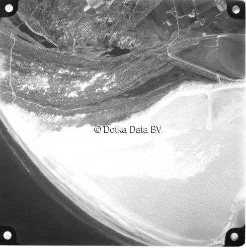 Luchtfoto Den Hoorn Texel (1958) uit de collectie Kadaster Luchtfoto's en Kaarten