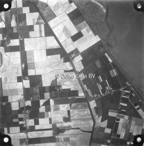 Luchtfoto De Cocksdorp (1958) uit de collectie Kadaster Luchtfoto's en Kaarten