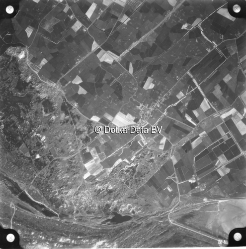 Luchtfoto Den Hoorn Texel (1958) uit de collectie Kadaster Luchtfoto's en Kaarten