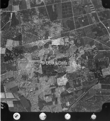 Luchtfoto Wenum Wiesel (1973) uit de collectie Kadaster Luchtfoto's en Kaarten