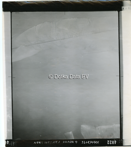 Luchtfoto Finsterwolde uit de collectie Kadaster WOII Luchtfoto's