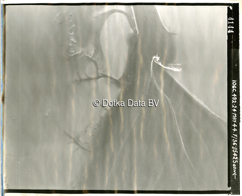 Luchtfoto Den Helder (1944) uit de collectie Kadaster WOII Luchtfoto's