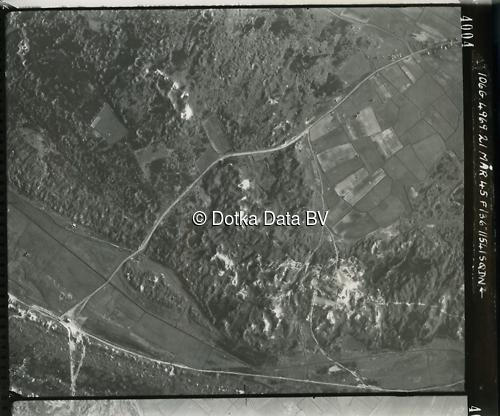 Luchtfoto Den Hoorn (1945) uit de collectie Kadaster WOII Luchtfoto's