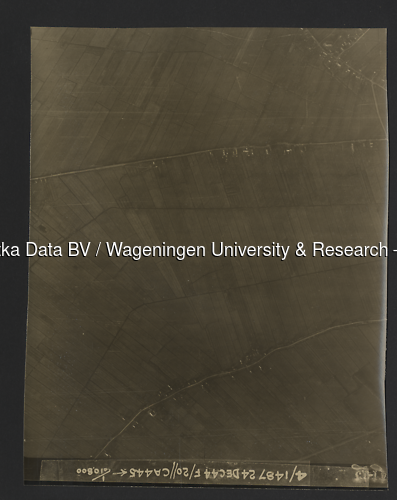 Luchtfoto Nieuwland (1944) uit de collectie Wageningen University WOII