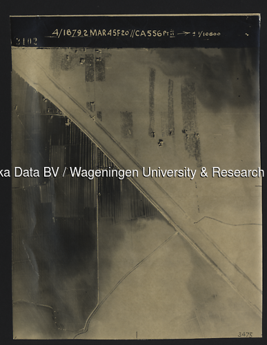 Luchtfoto Rijswijk (GLD) (1945) uit de collectie Wageningen University WOII