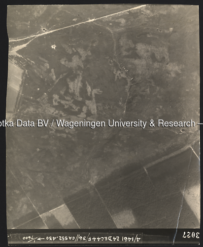 Luchtfoto Rozendaal (1944) uit de collectie Wageningen University WOII